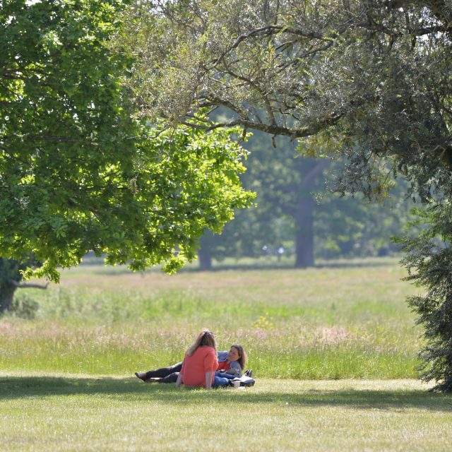Tturas trí nGaeilge i Lárionad BItheolaíochta Pháirc an Fhionnuisce