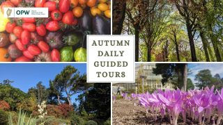Autumn Guided Tours promotional Graphic