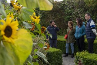 A guided tour of Portumna Gardens, the group stands amid hedges and sunflowers.