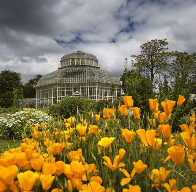 Natures Medicine Chest