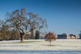 A frosty vista showing the parkland sweeping up toward Emo Court. There are some bare trees and some evergreen trees with a clear view on the right over lawns heading up to the big house at a distance . The house itself is a grey Palladian style mansion.