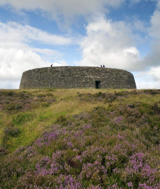 Heather within the high grass covers the foreground of the image with the stone fort backdropped by the fluffy clouds in a blue sky