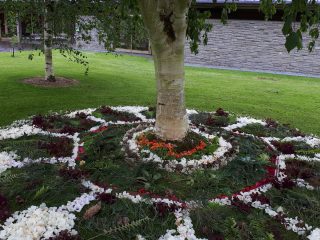 A birch tree is surrounded by a mandala made from flowers, cones and leaves. Concentric circles are divided into segments. White rhododendron flowers feature.