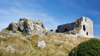 Some of the ruins of Dunamase on the hill