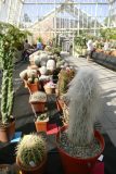 plant pots in the national botanic gardens herbarium