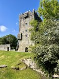 Aughnanure Castle on a sunny day, a green tree to the side.