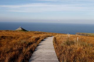 Pathway with view of the Atlantic Ocean, at Ceide Fields, Co Mayo.