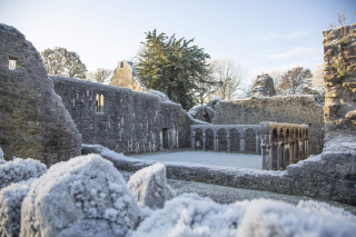 Frost sits on the ground and walls within the remains of Portumna Friary