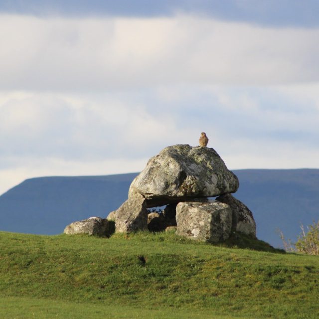 Reeling in the Years: 23 years of Carrowmore