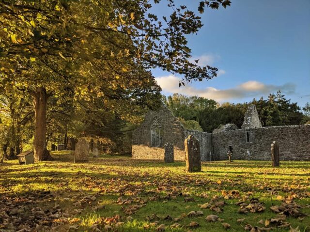 a tree covers part of the friary ruins on the left side. Gravestones are standing in grass covered in fallen autumnal leaves