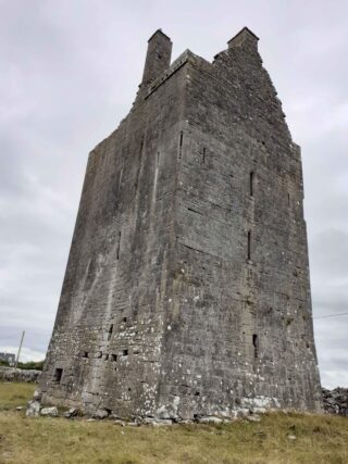 A close-up of Drumharsna Castle