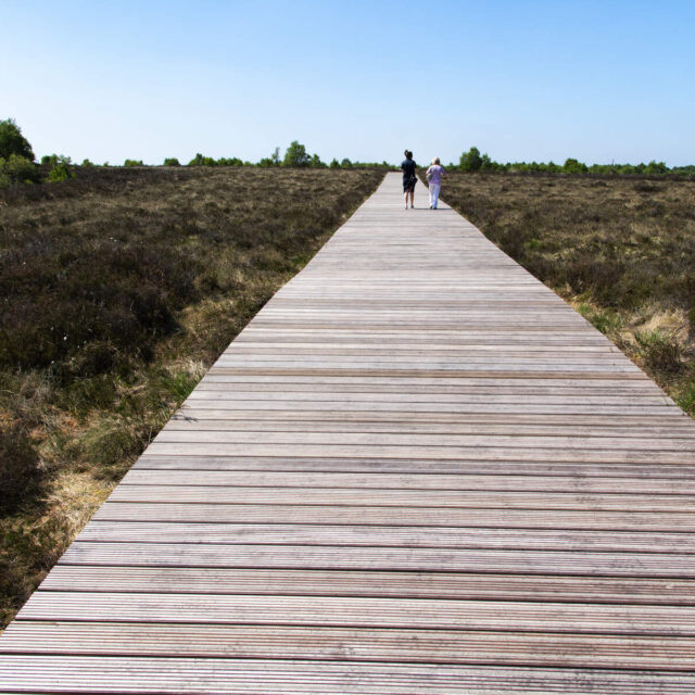 Irish Sign Language Tour – Corlea Trackway Visitor Centre