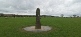 A lone ogham stone stands in a circle surrounded by green fields, with farm animals in the distance