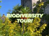 The words 'Biodiversity Tour' written over an image of the Dublin Linn Gardens and the Record Tower of Dublin Castle