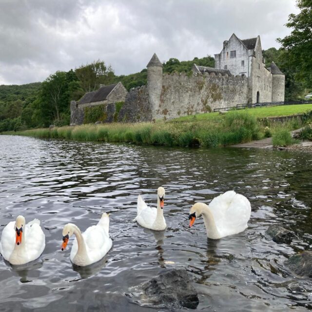 Sealgaireacht Thomáis na Cásca ag Caisleán Parke