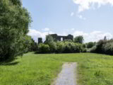 The walk up to Kindlestown castle - there is a dedicated path with grass either side