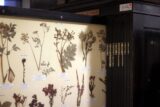 Herbarium