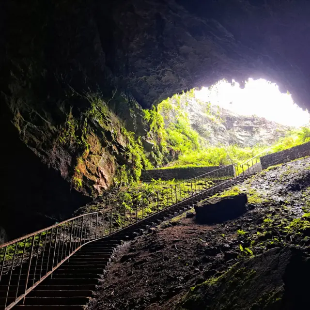 Biodiversity Week : Walk and talk on the plant-life around Dunmore Cave