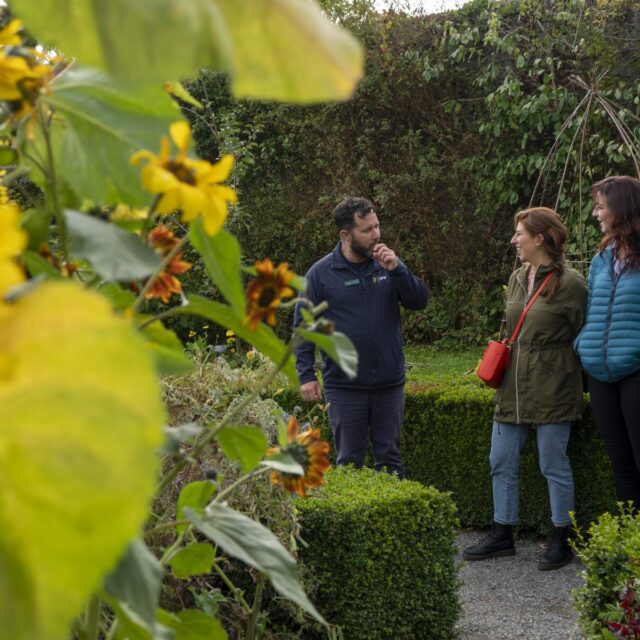 Portumna Castle Walled Garden Biodiversity Walk