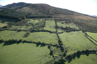 aerial view of a field landscape, the land demarcated into separate fields