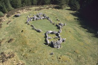 aerial view of two circular shapes of stones, making up a passage tomb. Set within a clearing in a forest.