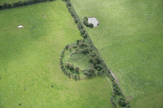 slightly elevated ringfort with trees marking its circular formation