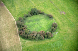 slightly elevated ringfort with trees marking its circular formation