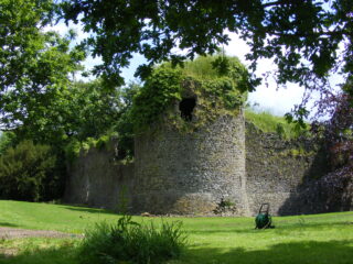 the view of the castle is framed by the nearby trees