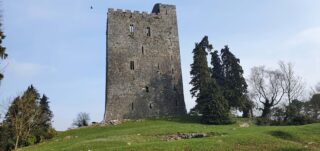 a stone castle stands within a grassy area, with a tree beside it, about half the height of the castle