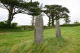 Two standing stones beside each other in a field, with tall trees in the near distance