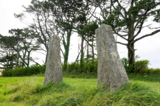 Two standing stones beside each other in a field, with tall trees in the near distance