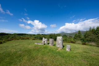 standing stones in the centre of a green field, backdropped by evergreen trees and the blue sky