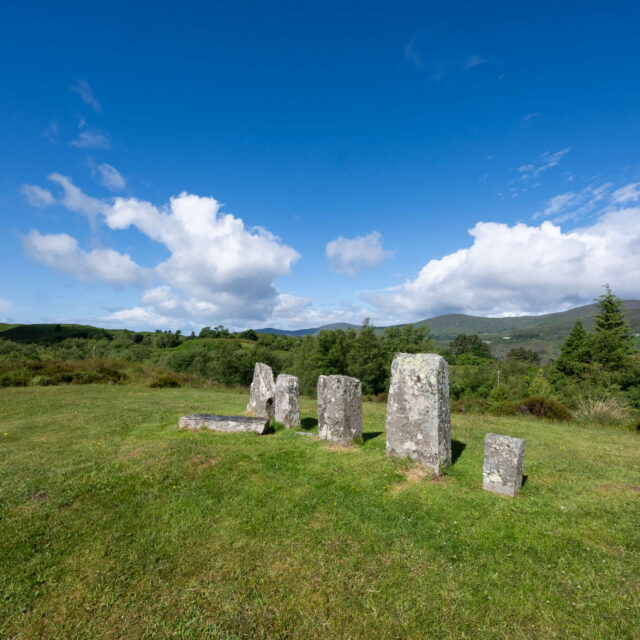 Sraith Gallán Mhacha na Sailí