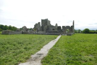 a slightly distanced view of Hore Abbey, capturing the entirety of the remaining roofless ruins.