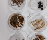 national seed bank