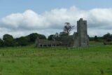 full view of the entire ruins of the friary within a field, with cows grazing close by