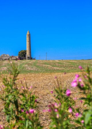 flowers frame the foreground of the image, with the round tower backdropped by the blue sky in the background.