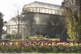 Spring bedding and palm house