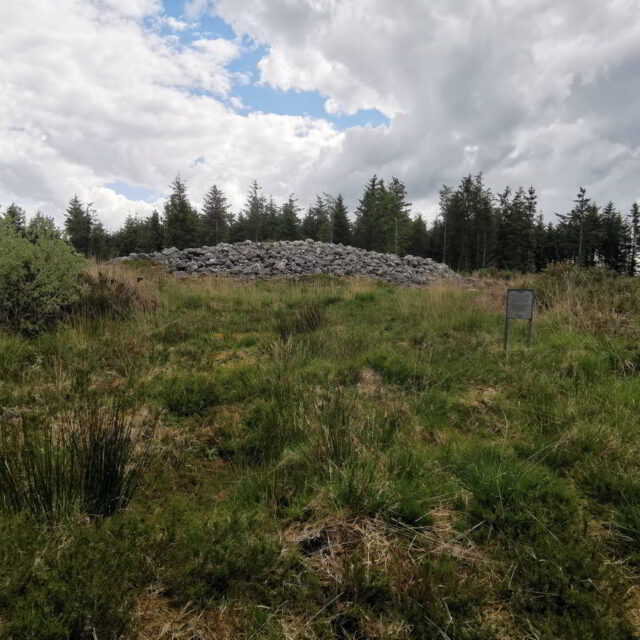 Feart Fáinneach agus Carn na Sceiche