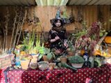 Botanic Gardens Magical Plants at the Witches Garden Halloween Event