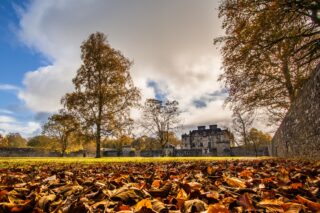 Autumn at Portumna Castle
Credit Giacomo Di Blasi autumn orange leaves cover the ground outside the castle