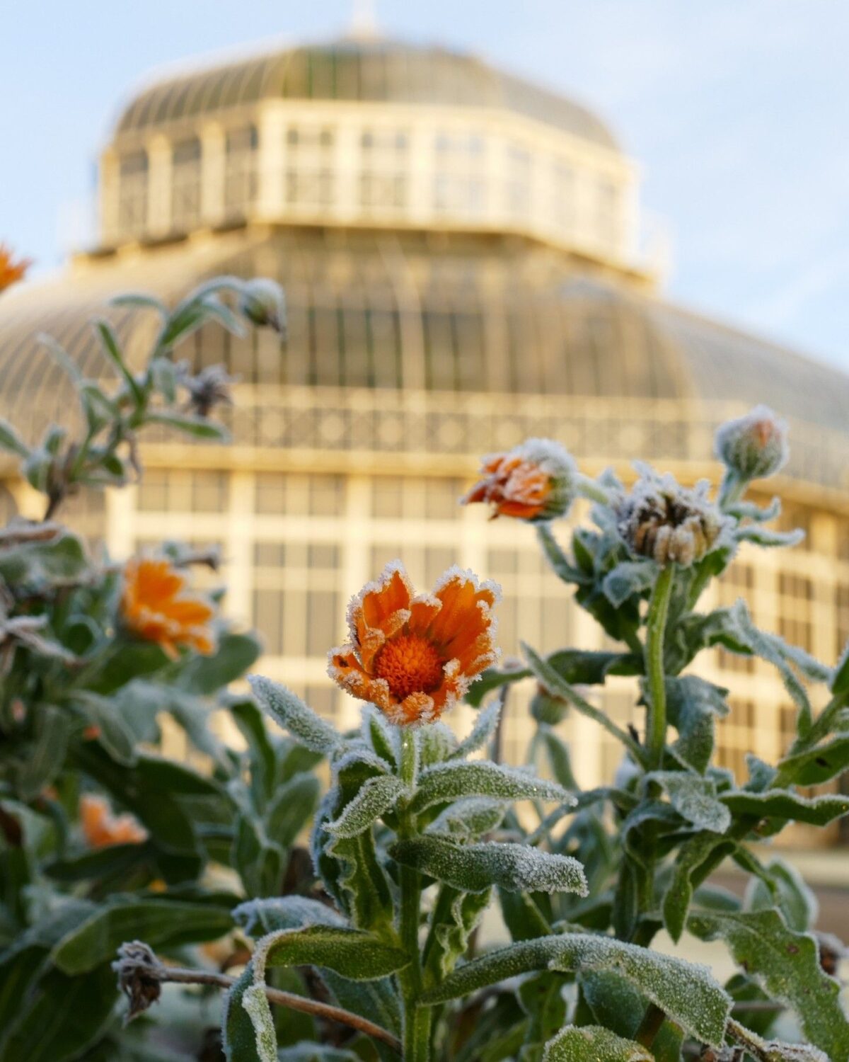 National Botanic Gardens in winter