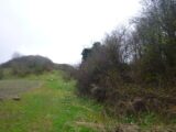 the earthen mound visible in the near left distance, with a line of bare leaved trees to the right side of the image.