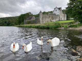 Seachtain Oidhreachta