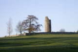 a view of the round tower, with a large leafless tree standing beside it, both within an enclosed wall.