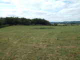 view of a field, with the edge of the ringfort outlined at the side of the image via tall bushes.