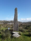 a tall standing stone with ogham markings in a field