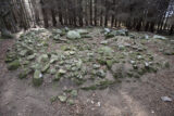 a formation of granite stones on the forest floor