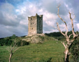 ground view of the castle on the outcrop, from a distance. Bare branches line the edges of the foreground of the image.