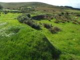 a semi-circular ringfort, almost hidden in grass and shurbbery